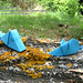 Eduardo Clemente Photo 11