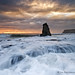 Ray Davenport Photo 28