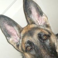 Sasha Ireland Photo 3