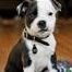 Julie Newhouse Photo 5