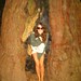Jenine Wood Photo 12