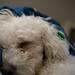 Lisa Casper Photo 16