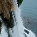 Kim Hanes Photo 26