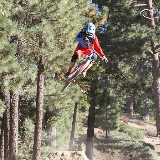 Richard Stokes Photo 37