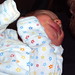 Joshua Whiteman Photo 12