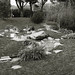 Lawrence Strauss Photo 24