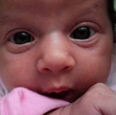 Catherine Estrada Photo 27