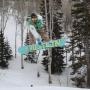 John Bird Photo 36