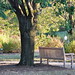 Clifton Cox Photo 22