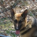 Donna Shepherd Photo 16