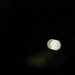 Craig Lutz Photo 9
