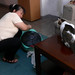Xiaoli Li Photo 8