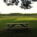 Martha Meadows Photo 15