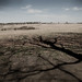 Mark Culp Photo 17