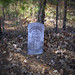 Joseph Holcomb Photo 6