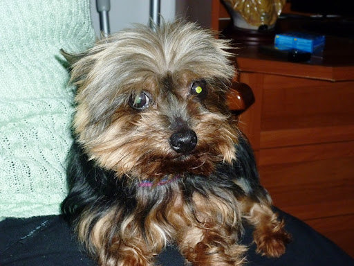 Juana Diaz Photo 3