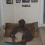 Johnnie Harvey Photo 12