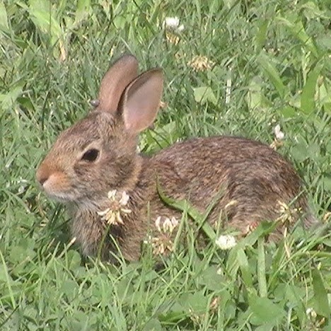 Elizabeth Sandler Photo 21