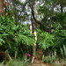 Amy Hogue Photo 34