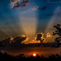 Linda Lapointe Photo 21