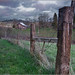 Steven Meadows Photo 17