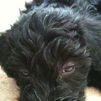 Annie May Photo 46