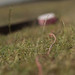 Richard Workman Photo 36