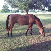 Jodie Blankenship Photo 5