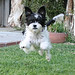 Chelsey Foster Photo 11
