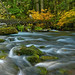 Garry Groves Photo 6
