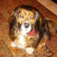 Mary Perkins Photo 5