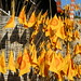 Mai Phan Photo 15