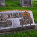 Lora Buck Photo 5