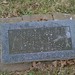Stephen Albert Photo 29