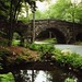 Stanley Crews Photo 19