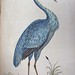 Elizabeth Dandridge Photo 9