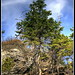 Rachel Mountain Photo 7