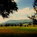 Virginia Giles Photo 18