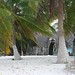 Allen Beach Photo 19