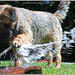 Rufus Blow Photo 8
