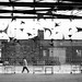 Hector Ray Photo 15