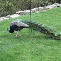 Shelly Dailey Photo 9