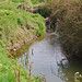 Cary Meadows Photo 9