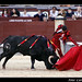 Sergio Aguilar Photo 40