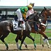 Susan Cooksey Photo 17