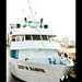 Allen Emery Photo 7