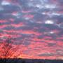 Dawn Miller Photo 42