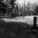 Marion Black Photo 35