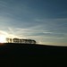 Dawn Barrow Photo 24