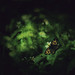 Hieu Le Photo 10